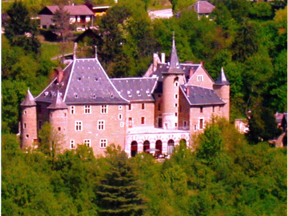 Le Belvedere De La Grand Croix Dans Le Chateau D'Uriage 생 마르탱 듀리아쥬 외부 사진